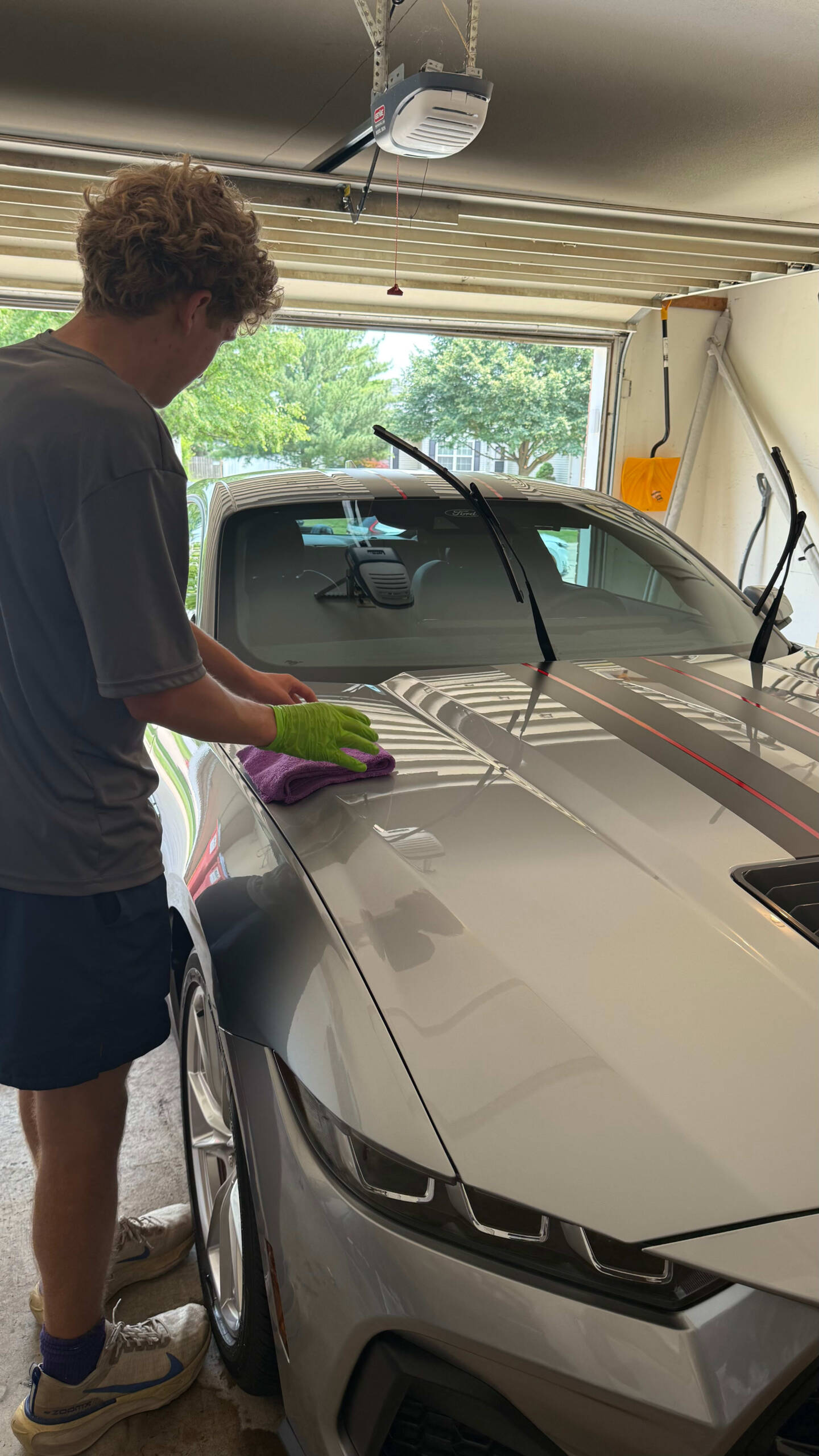 Paint polishing Champaign