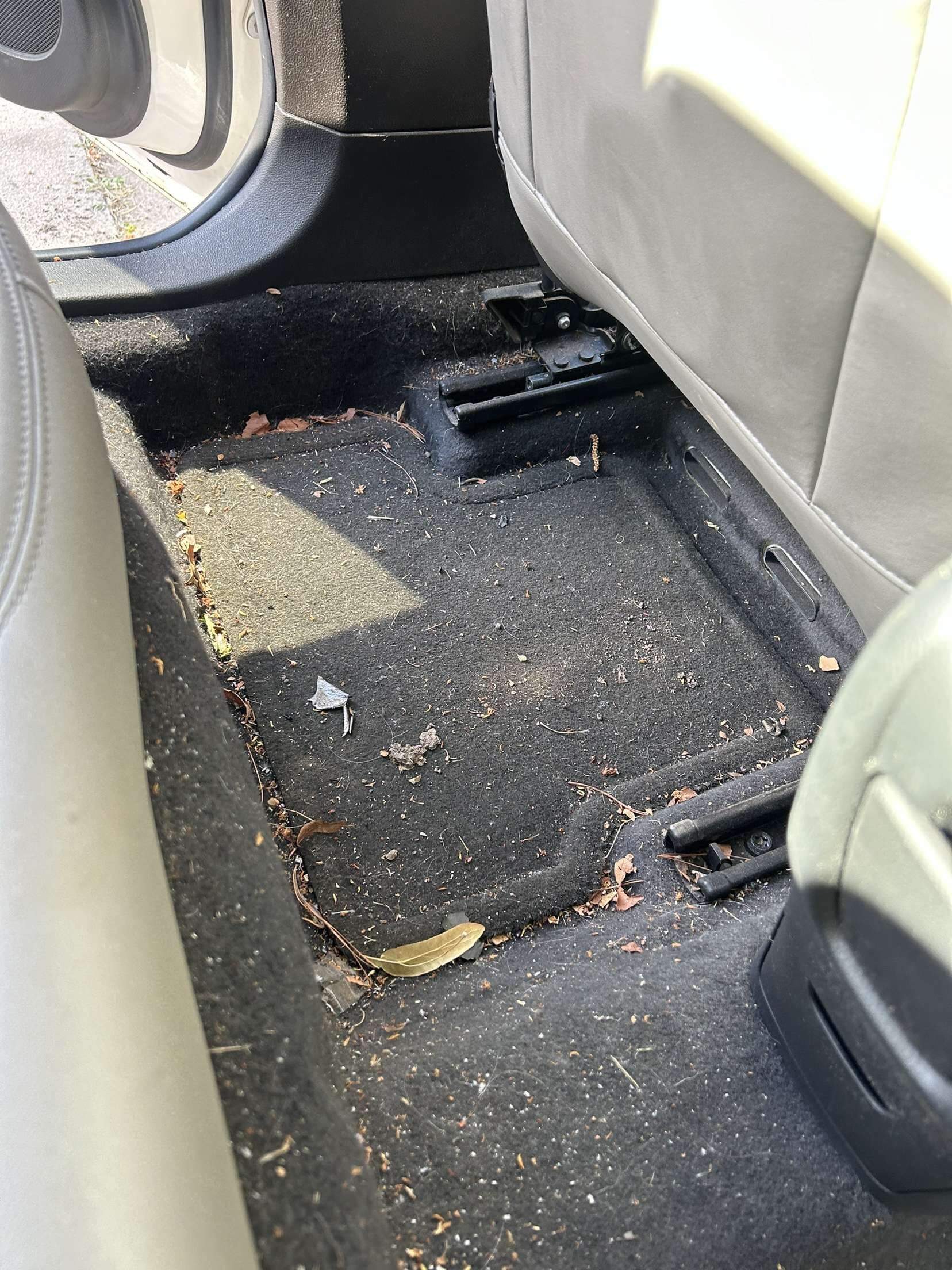 Interior before detail