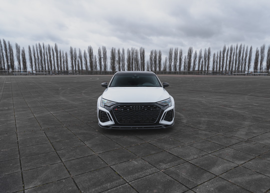 How to Choose the Best Auto Detailing Service