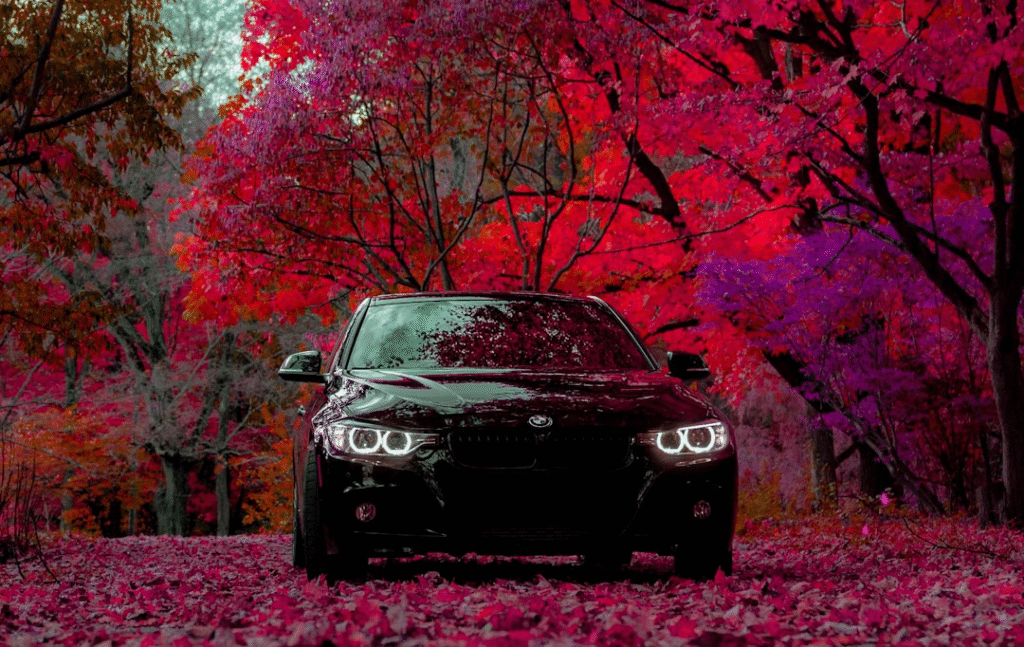 Top 10 Benefits of Mobile Auto Detailing Services