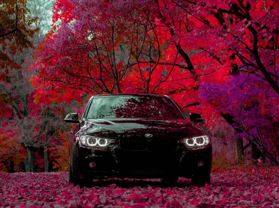 Top 10 Benefits of Mobile Auto Detailing Services