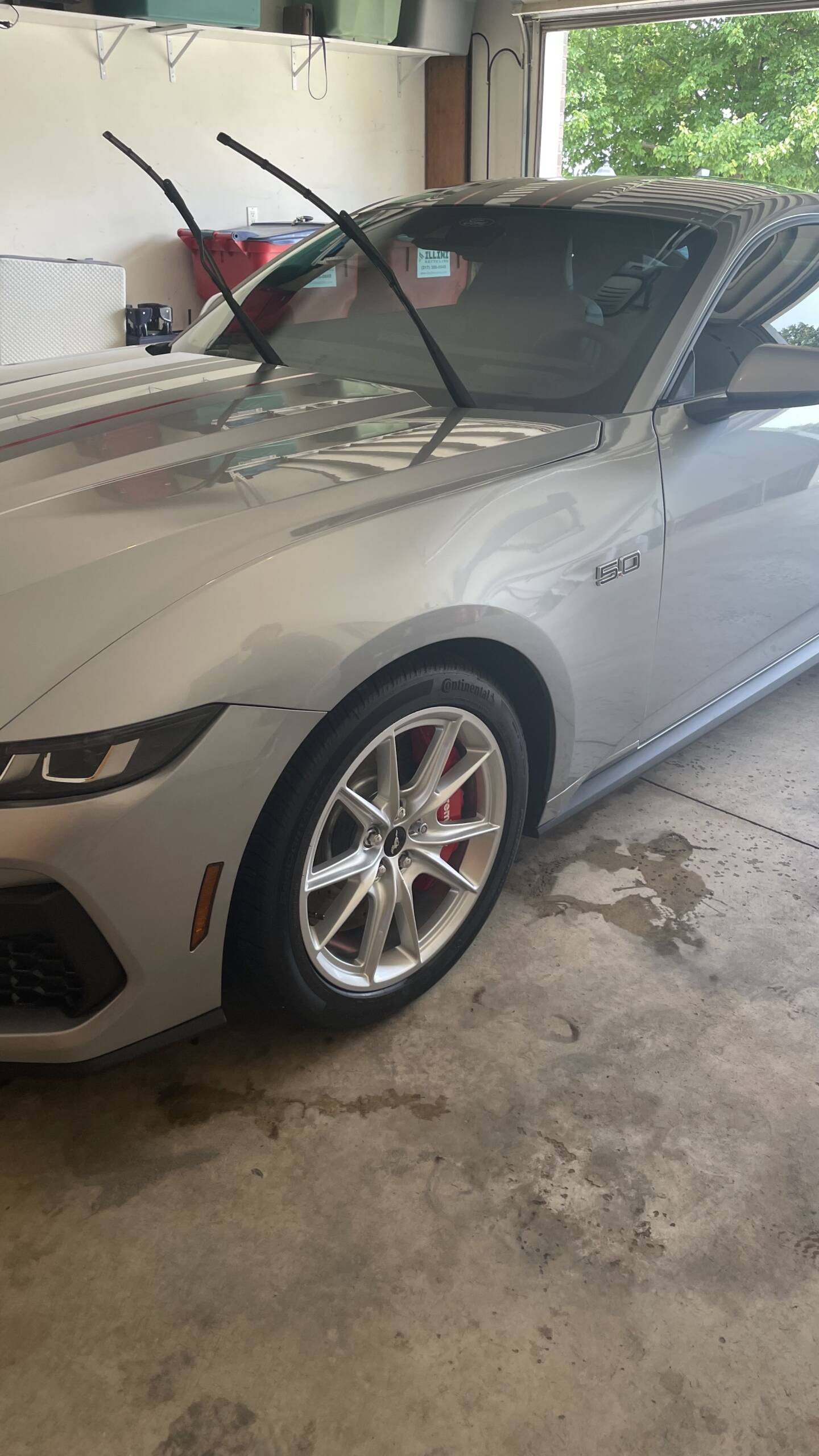The Detail Docs ceramic coating